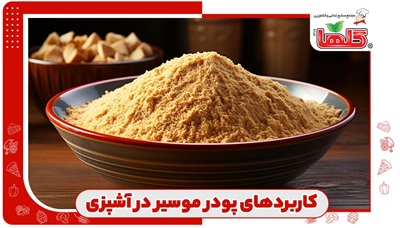 کاربرد پودر موسیر در آشپزی؛ چاشنی اصیل با طعم ماندگار
